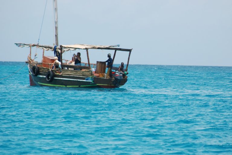 1 Day Wasini Dolphine Dhow