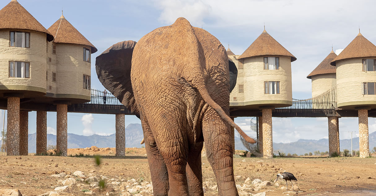 3 Days Tsavo East & Salt Lick Safari