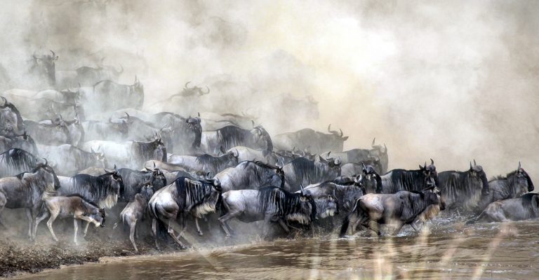 3 Days Maasai Mara Air Special