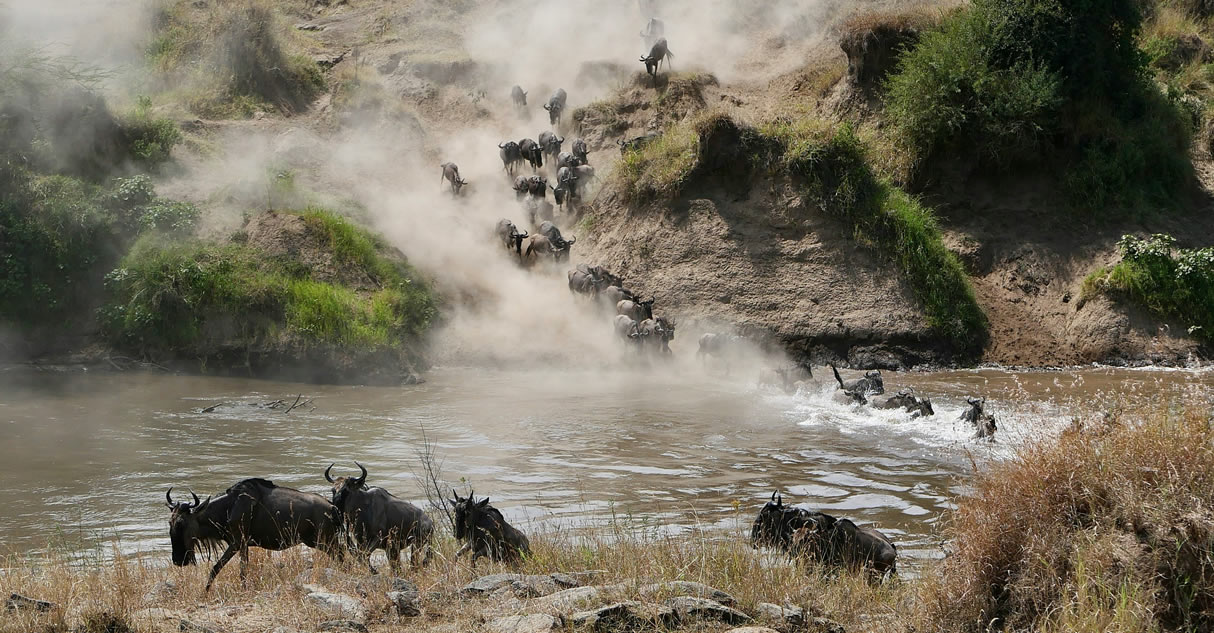 5 Days (4 Nights): Lake Nakuru National Park and Masai Mara Game Reserve