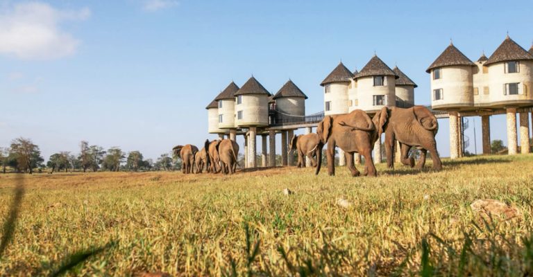 6D Days Tsavo East National park.Tsavo West National Park,Amboseli National Park