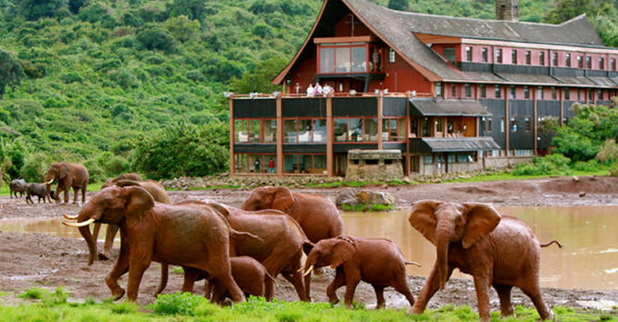 7 Days Samburu, Aberdare, Lake Nakuru And Masai Mara Safari