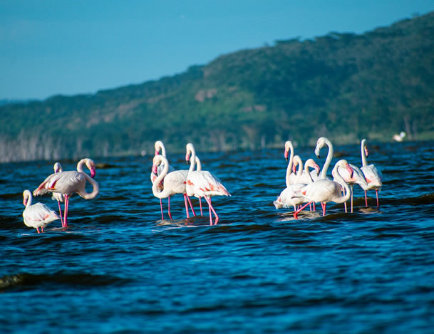 Lake Nakuru National Park