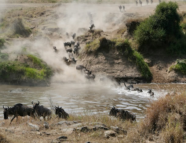 Maasai Mara Safaris