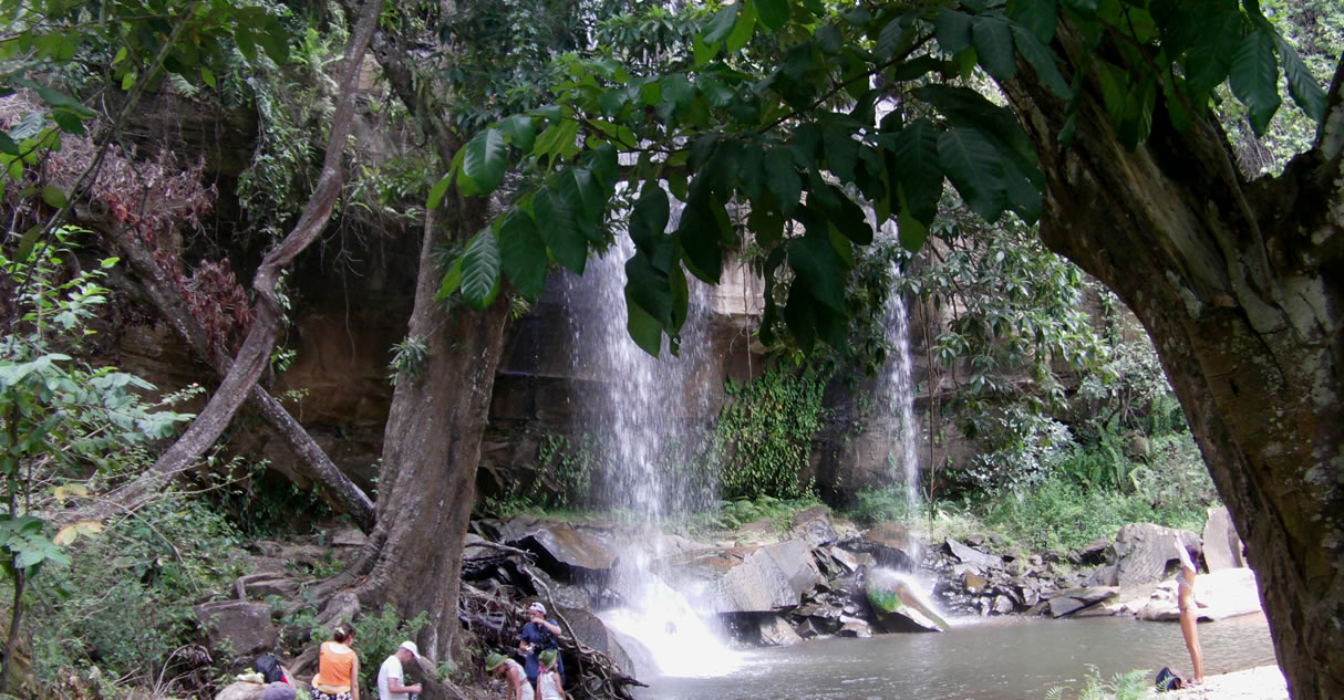1  Day Shimba Hills  National reserve