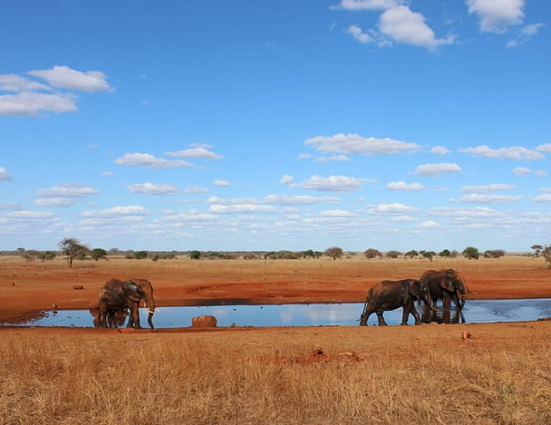 Tsavo National Park